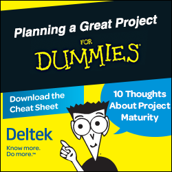 Planning a Great Project for Dummies
